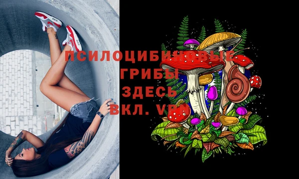jwh Володарск